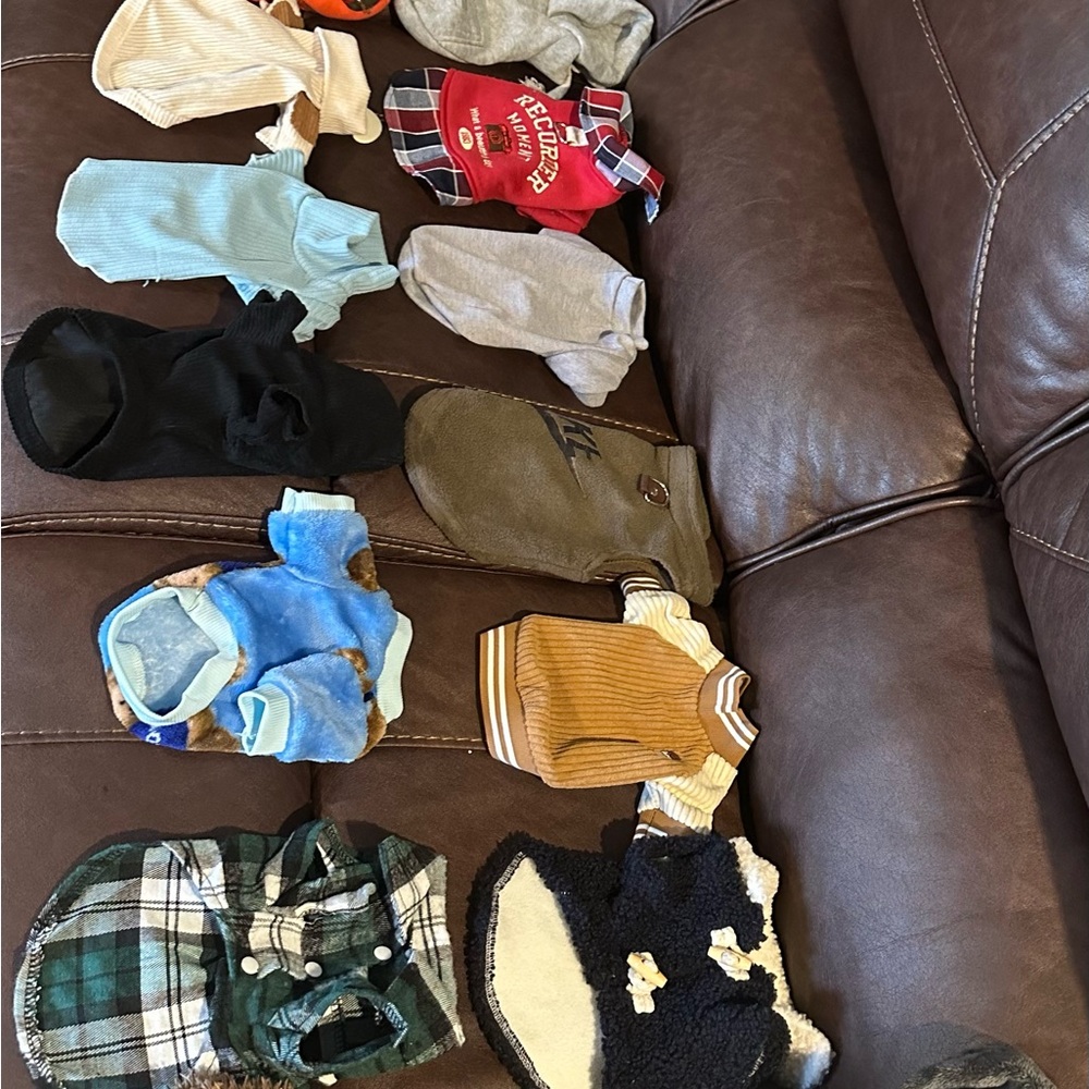 Assorted Pet Clothing Collection